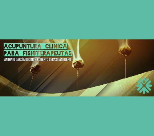 ACUPUNTURA CLÍNICA Y ELECTROACUPUNTURA FUNCIONAL PARA FISIOTERAPEUTAS (ALMERIA) JULIO