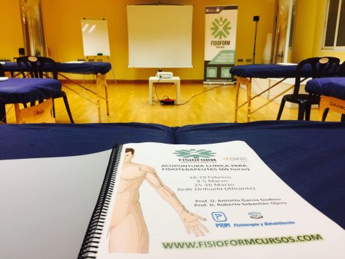 ACUPUNTURA CLÍNICA Y ELECTROACUPUNTURA FUNCIONAL PARA FISIOTERAPEUTAS (Madrid) Diciembre - Imagen 6