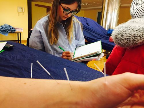 ACUPUNTURA CLÍNICA Y ELECTROACUPUNTURA FUNCIONAL PARA FISIOTERAPEUTAS (Madrid) Diciembre - Imagen 19