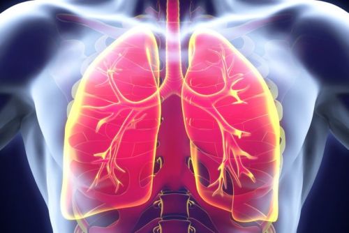 FISIOTERAPIA RESPIRATORIA Y EJERCICIO TERAPÉUTICO EN EL PACIENTE ADULTO Marzo (Almeria) - Imagen 2