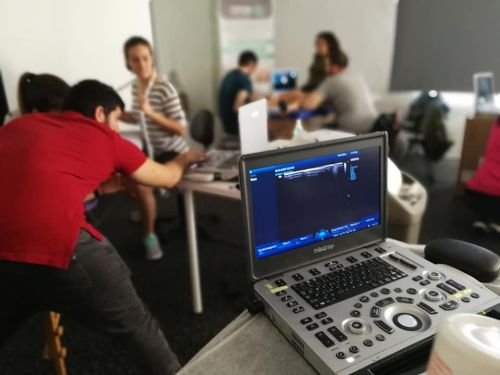 EXPERTO EN ECOGRAFÍA DEL SISTEMA MUSCULOESQUELÉTICO Y NERVIOSO PARA FISIOTERAPEUTAS (Madrid)
