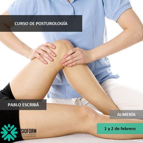 CURSO DE POSTUROLOGÍA PARA FISIOTERAPEUTAS en ALMERÍA (Febrero)