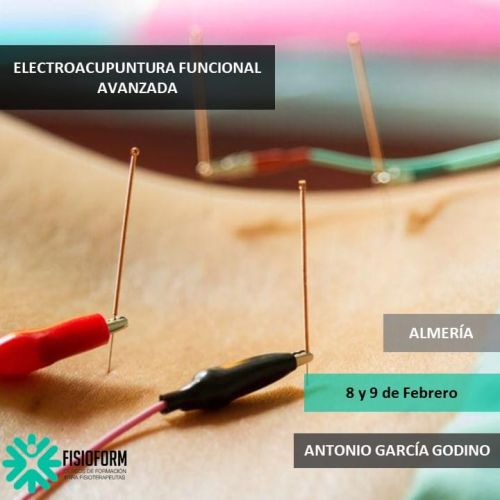 ELECTROACUPUNTURA FUNCIONAL Avanzada Febrero (Almería)