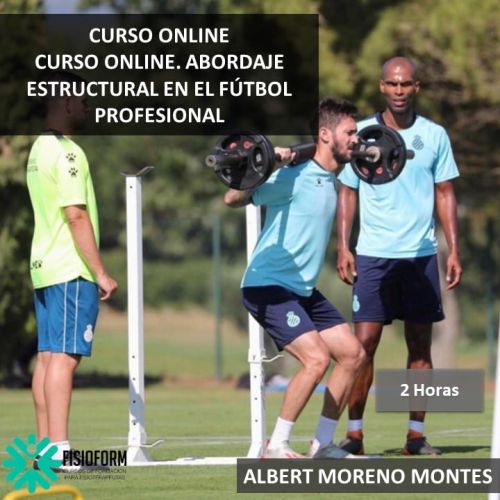 CURSO ONLINE. ABORDAJE ESTRUCTURAL EN EL FÚTBOL PROFESIONAL