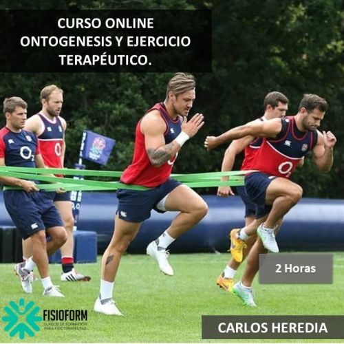 CURSO ONLINE. ONTOGENESIS Y EJERCICIO TERAPÉUTICO. (PREVENCIÓN Y RENDIMIENTO)