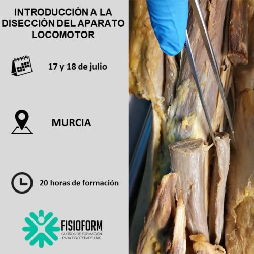 INTRODUCCIÓN A LA DISECCIÓN DEL APARATO LOCOMOTOR Julio (Murcia)