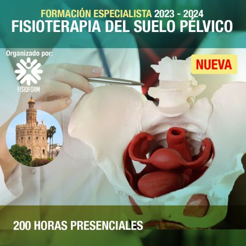 Formación Especialista en Fisioterapia Suelo Pélvico en Sevilla