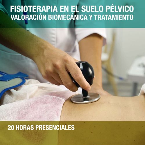 Curso Fisioterapia en el Suelo Pélvico: Valoración Biomecánica y Tratamiento