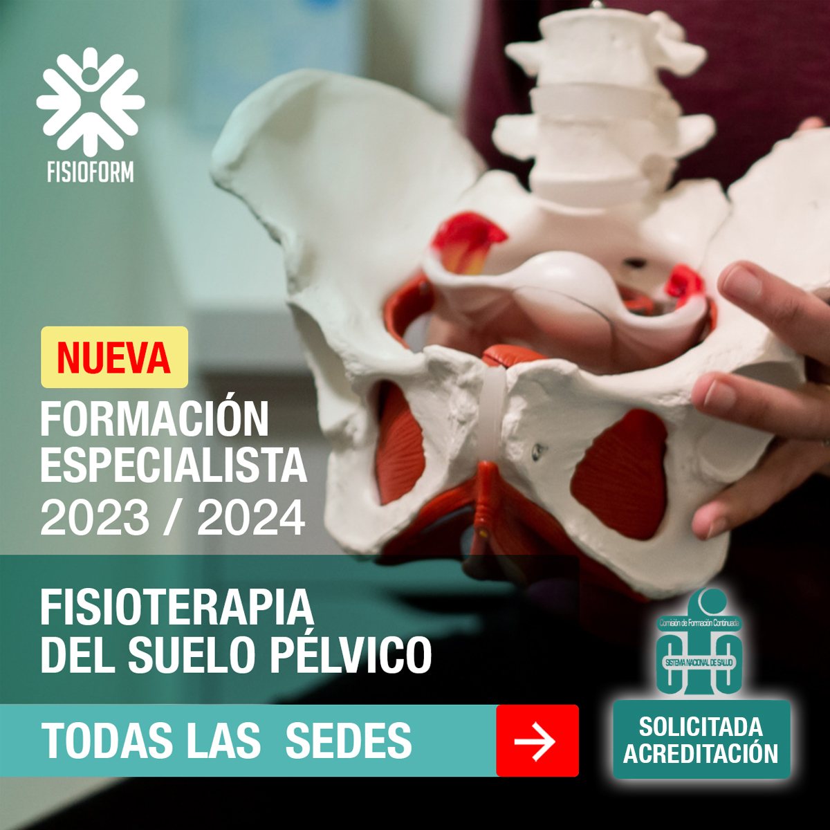 portadas-experto-suelo-pelvico Especialista en Fisioterapia del Suelo Pélvico