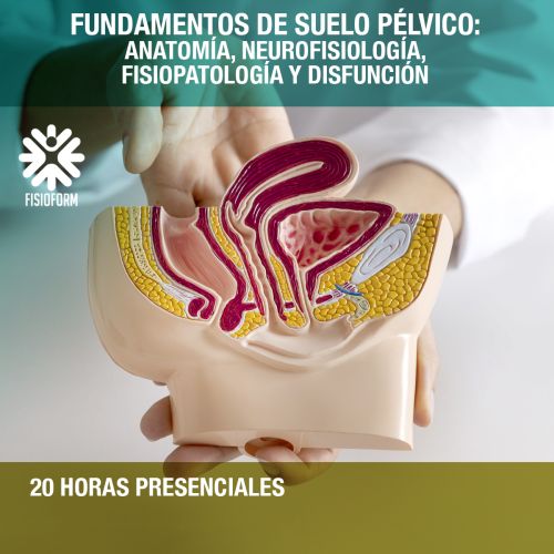 Curso Fundamentos de Suelo Pélvico Murcia