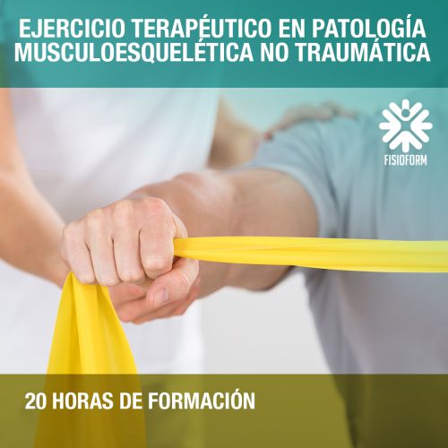 Curso Ejercicio Terapéutico en Patología musculoesquelética no traumática