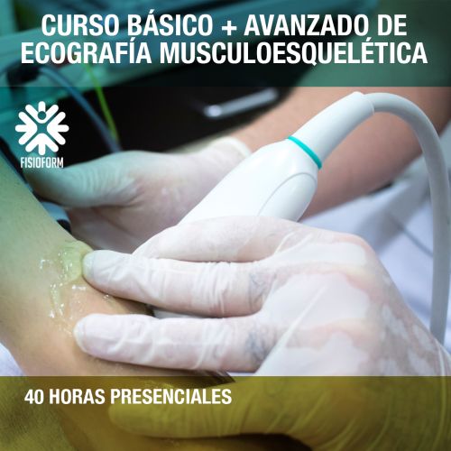Curso Básico + Avanzado de Ecografía Musculoesquelética